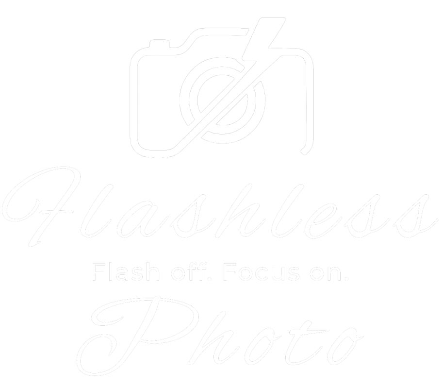 Flashless Photo Logo